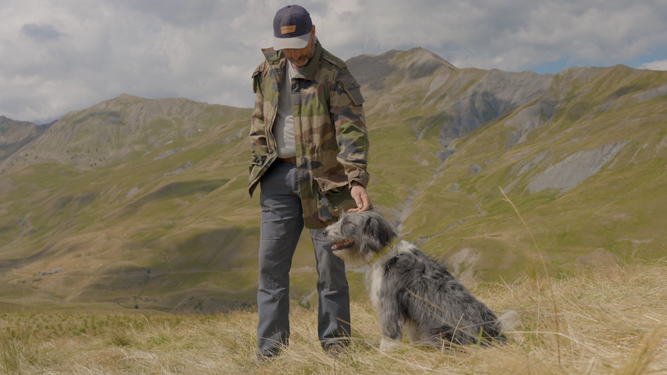 L'élevage des bêtes